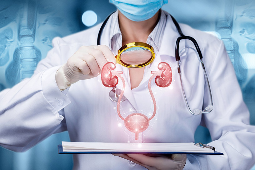 Urology specialist examining the kidneys, ureters and bladder at Suvira Hospital, Jaipur